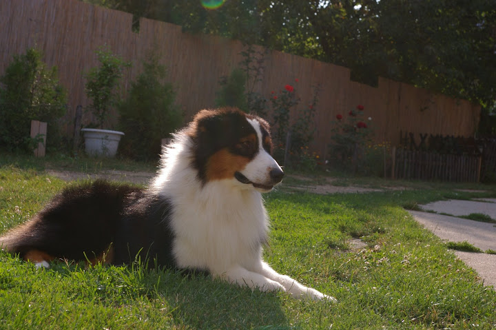 IMGP0941.JPG