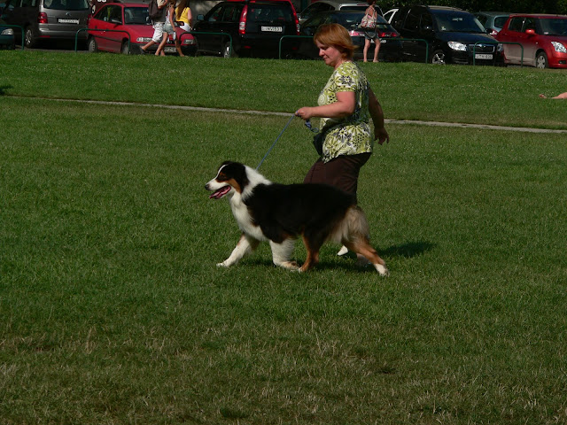 P1240563.JPG
