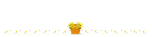 bar10.png