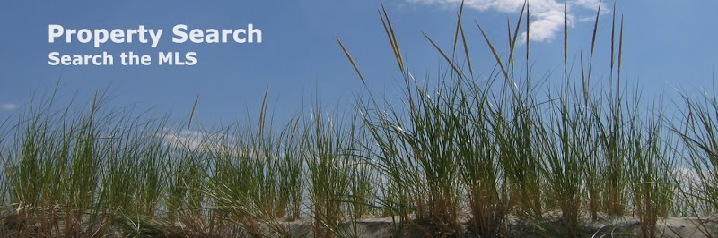Ipswich's Cranes Beach Dune - Property Search Banner - Credit Laura Cardamom