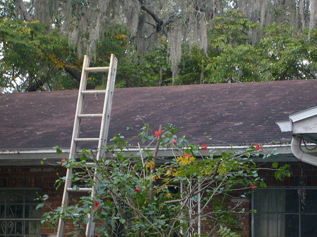 [Tampa Roof Cleaning 008[2].jpg]
