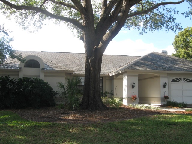 [Tile-Roof-Cleaning-33601-Tampa-FL 11-17-2009 3-13-18 AM[3].jpg]
