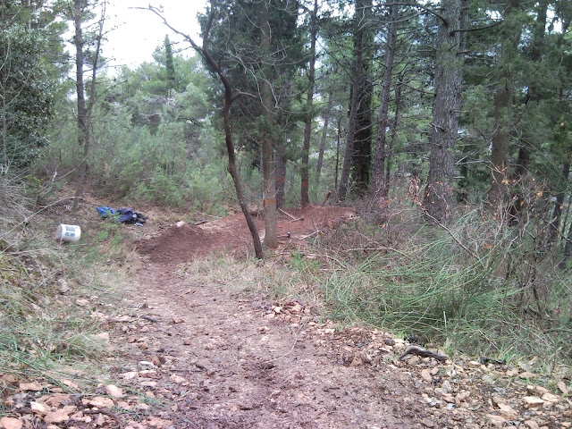 100220_140419.jpg