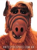 Alf, 1986-1990