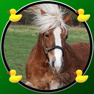my first game with ponies.apk Varies with device