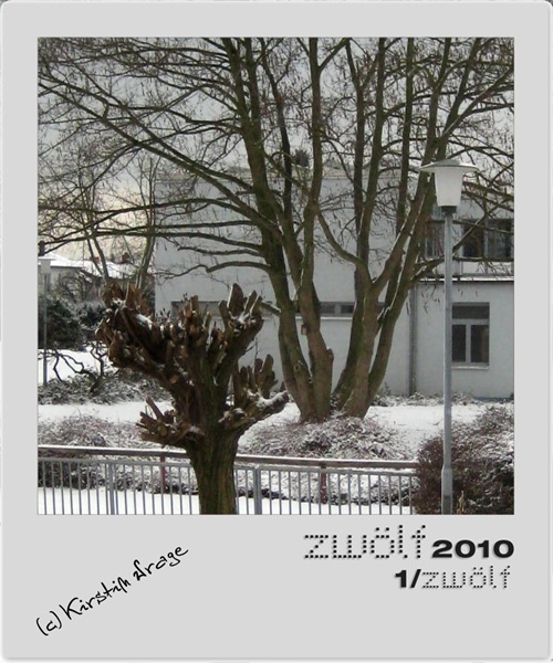 01-zwoelf2010-2