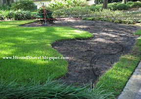 Front Lawn Renovation Project