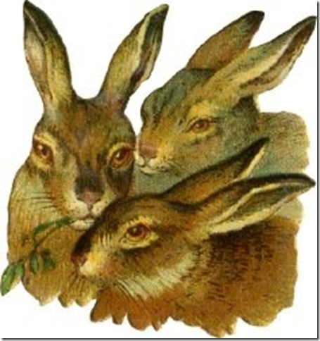 three-rabbits