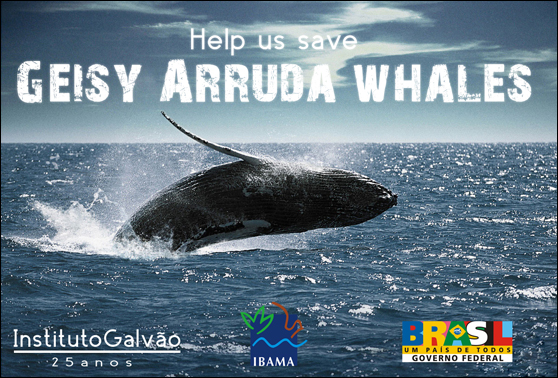 geisyarrudawhales Help us save Geisy Arruda whales