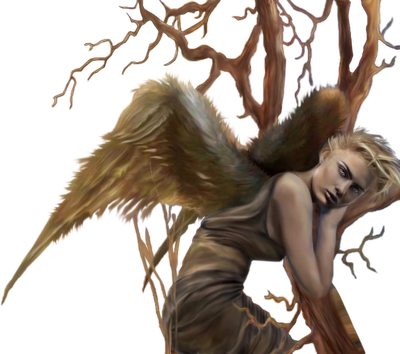 45g6878.png
