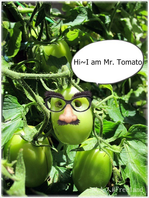 [mrtomato[7].jpg]