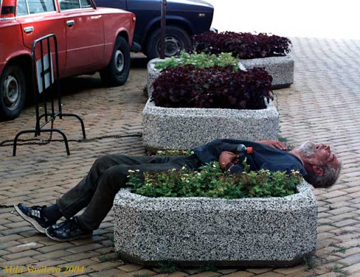 lazyw.jpg