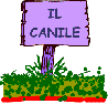 canile1