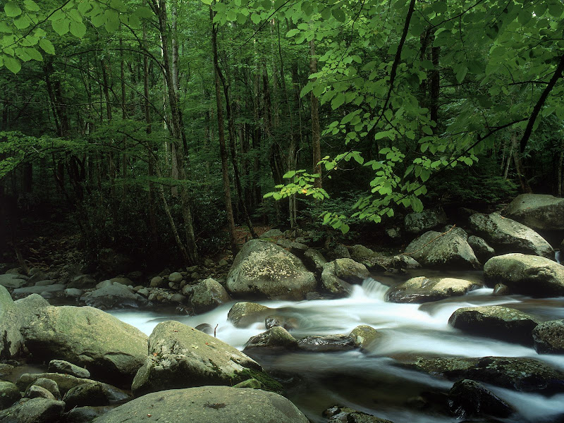 Big size landscape wallpapers-landscape wallpapers