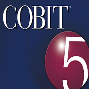 Cobit 5 questoes app teste.apk 1.0