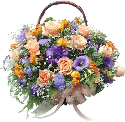 flv154a1bs5%5B1%5D.jpg