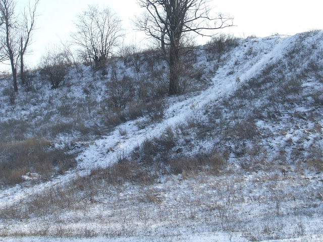DSCF8354.JPG