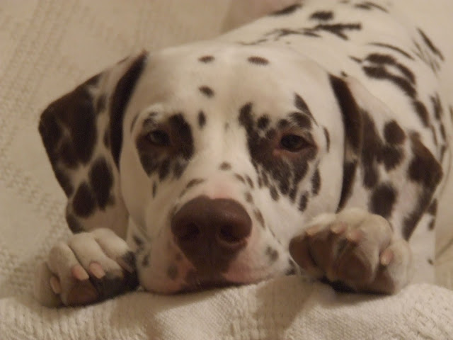 DSCF8450.JPG