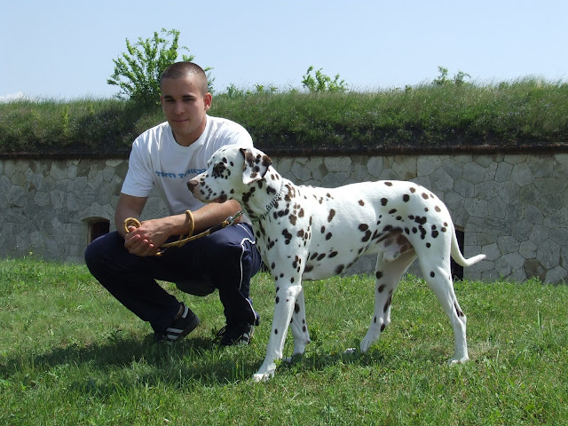 DSCF8563.JPG