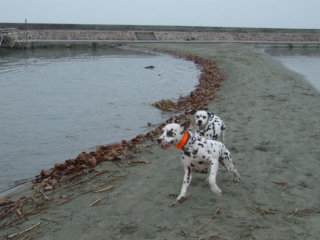 DSCF8129.JPG