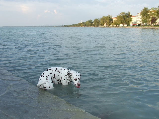 DSCF8934.JPG