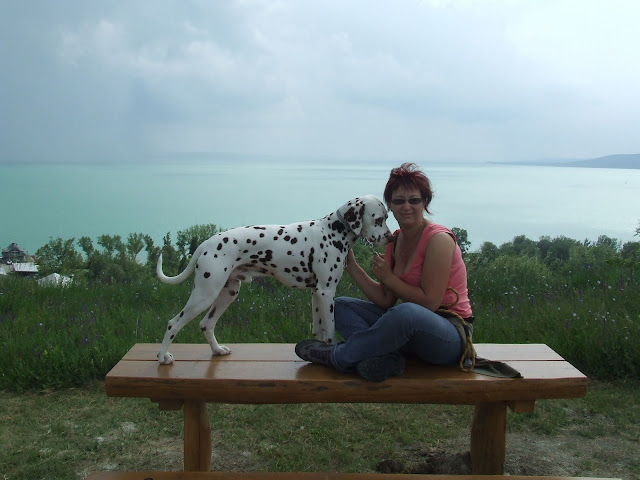 DSCF9008.JPG