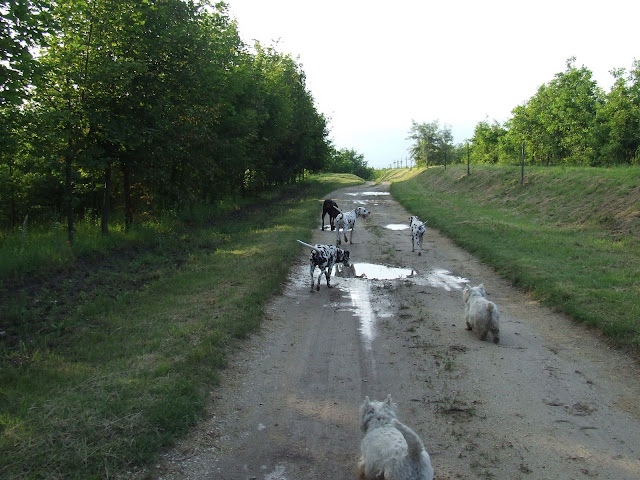 DSCF9395.JPG