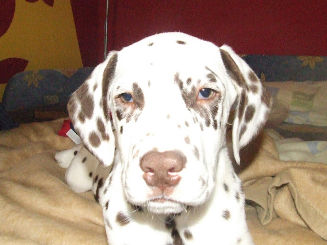 DSCF4725.JPG