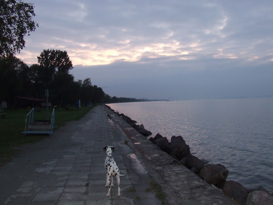 DSCF9528.JPG