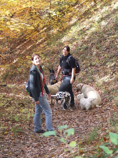 DSCF9618.JPG