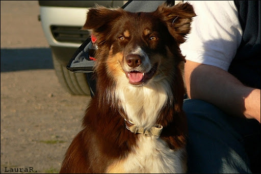babe023.jpg