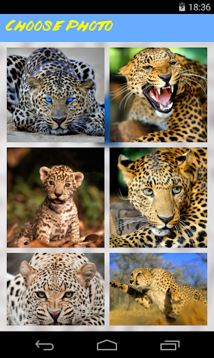 【免費解謎App】Leopard Jigsaw Puzzle-APP點子