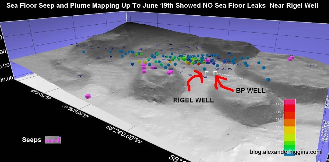 3D map showing the location of the BP and the Rigel Well along with all sea floor leaks that where detected before BP shut in the well.