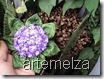 artemelza - fuxico hortencia