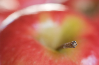apple (2008)