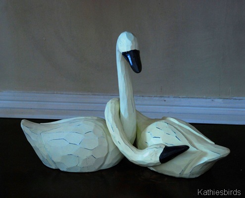 6. Swans