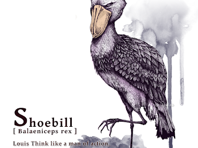 √画像をダウンロード ハシビロコウ 壁紙 pc 268186