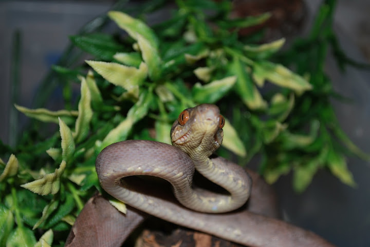 DSC_0769.JPG