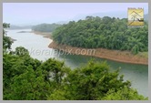 PCHI_017_peechi_kerala_DSC0144