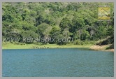 TDY_069_thekkady_DSC0016