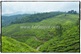 MNR_221_www.keralapix.com_DSC0275