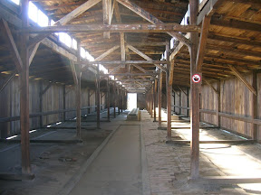 135 - Auschwitz II - Birkenau, letrinas.JPG