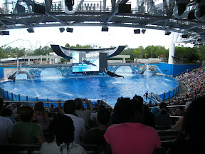 Día 3. Sea World de Orlando.