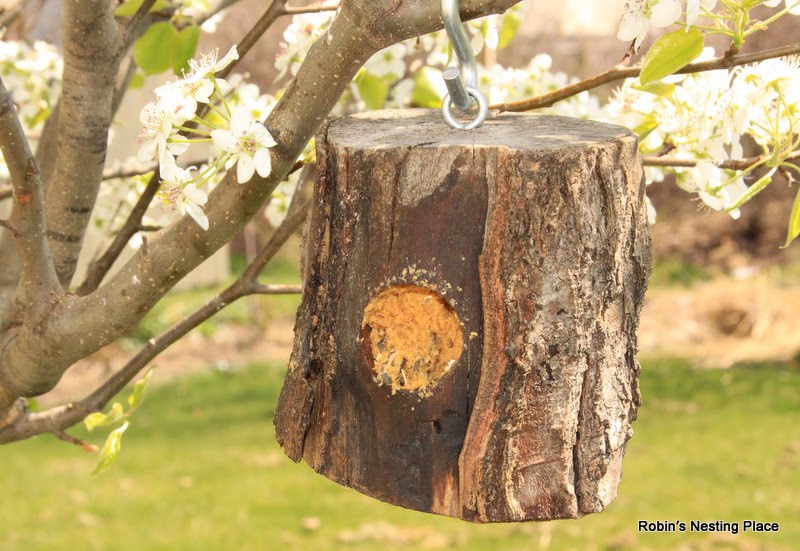 ROBINS NESTING PLACE Suet Recipe