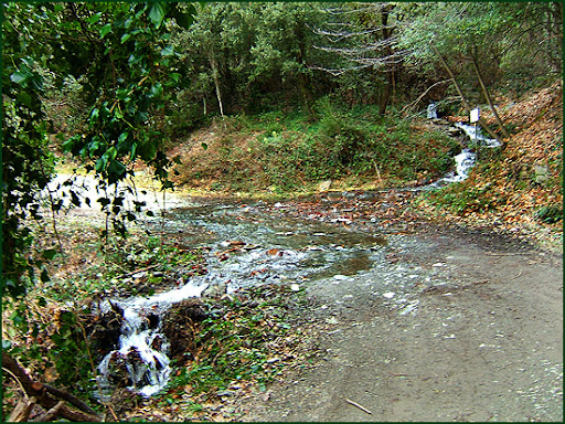 Ascenso a Les Agudes desde Fontmartina por el GR 5-2 5640