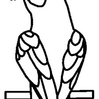 Aves (76).jpg