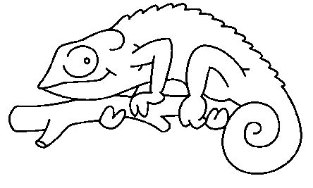 Animales Para Colorear Reptiles Imagui