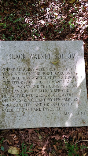 Black Walnut Bottom