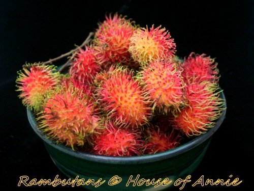 [Bowl of Rambutans[2].jpg]