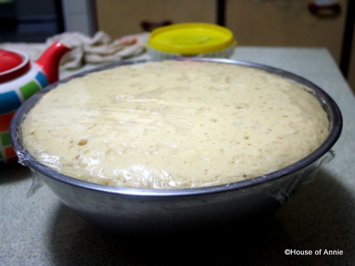 [no knead brioche dough rising[2].jpg]